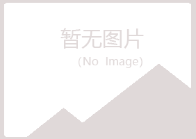 池州从安会计有限公司